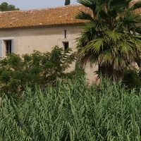 Photo de France - Le Canal du Midi et le tunnel du Malpas